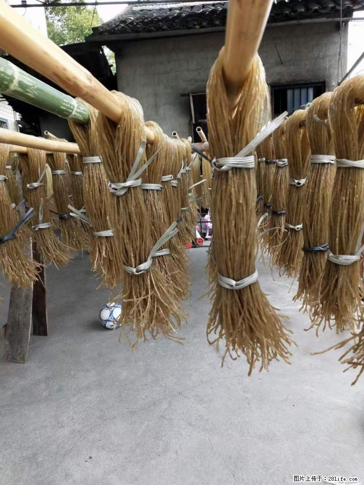【灌阳正宗红薯粉】美女家里自己做的,干净卫生,假一赔十,价格合理,抢购电话:13737312895 - 美食天地 - 那曲生活社区 - 那曲28生活网 nq.28life.net