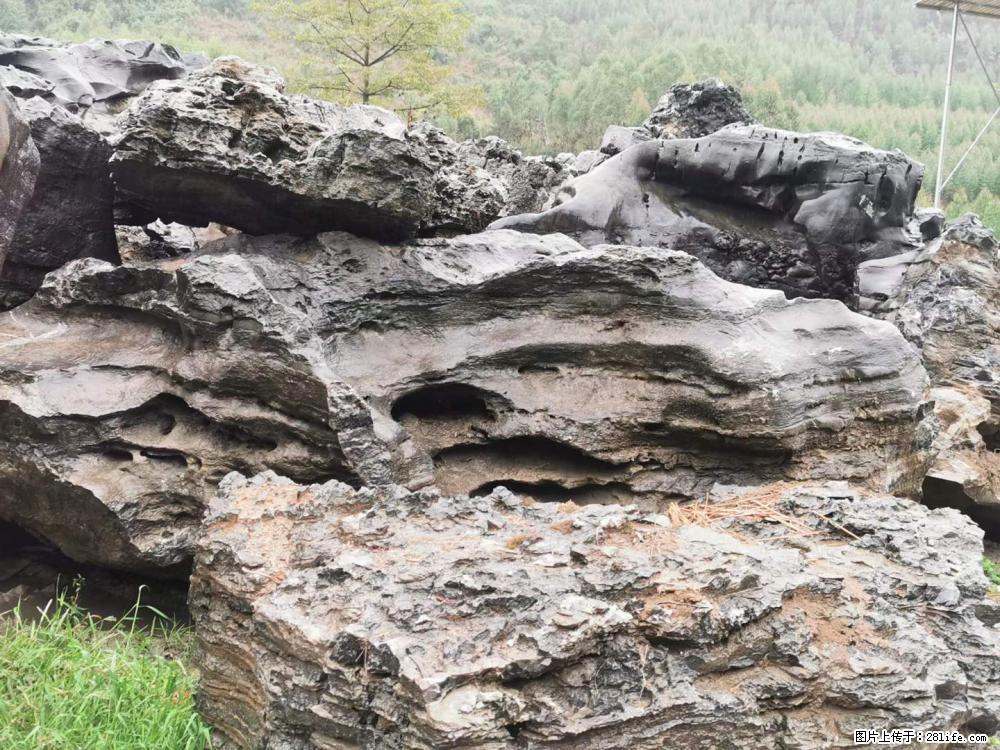 风景石、假山石大量有货，有需要的欢迎联系 - 新手上路 - 那曲生活社区 - 那曲28生活网 nq.28life.net
