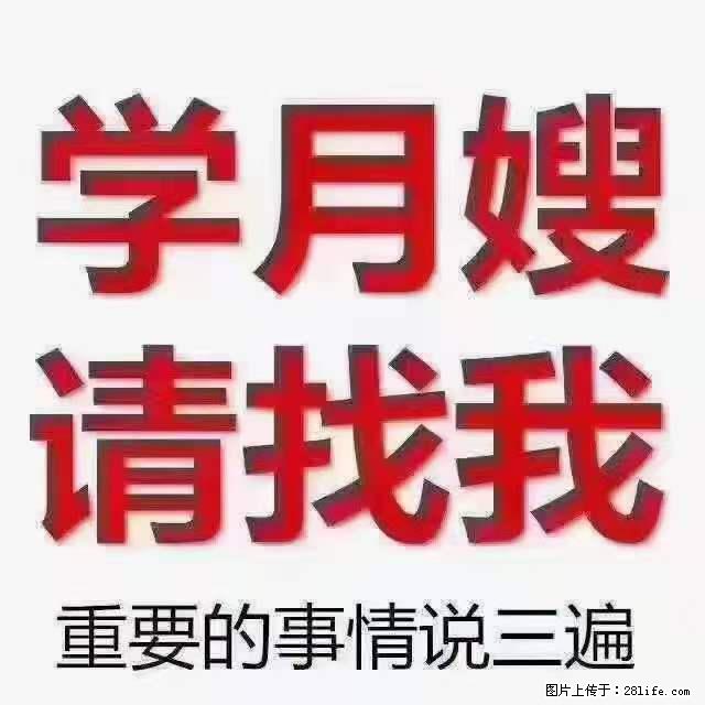 为什么要学习月嫂,育婴师? - 新手上路 - 那曲生活社区 - 那曲28生活网 nq.28life.net