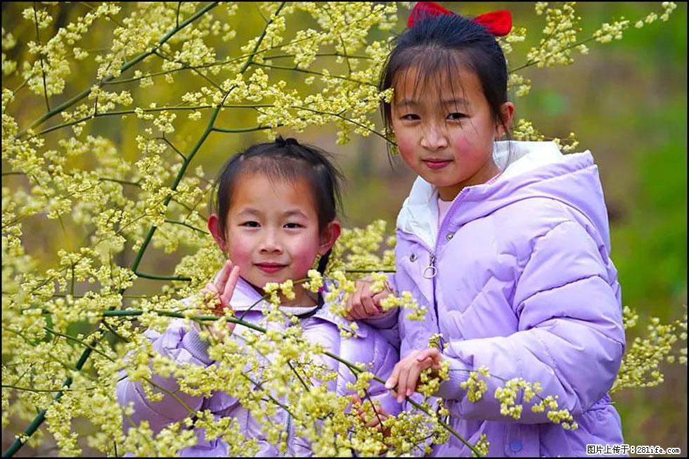 【春天，广西桂林灌阳县向您发出邀请！】米珠山前有片山苍子花在飘香 - 游山玩水 - 那曲生活社区 - 那曲28生活网 nq.28life.net