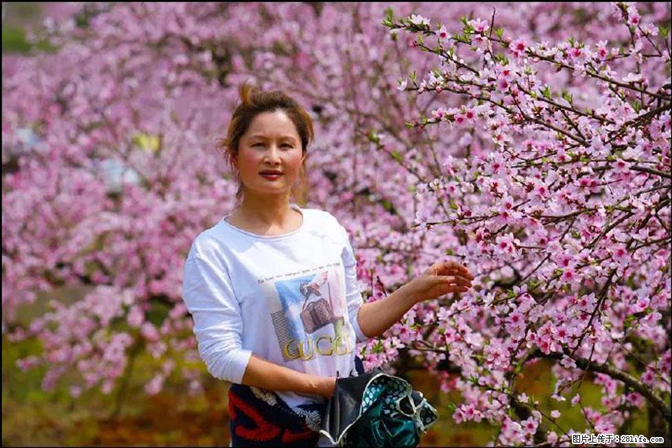 【春天，广西桂林灌阳县向您发出邀请！】官庄村有个醉美的桃花园 - 游山玩水 - 那曲生活社区 - 那曲28生活网 nq.28life.net