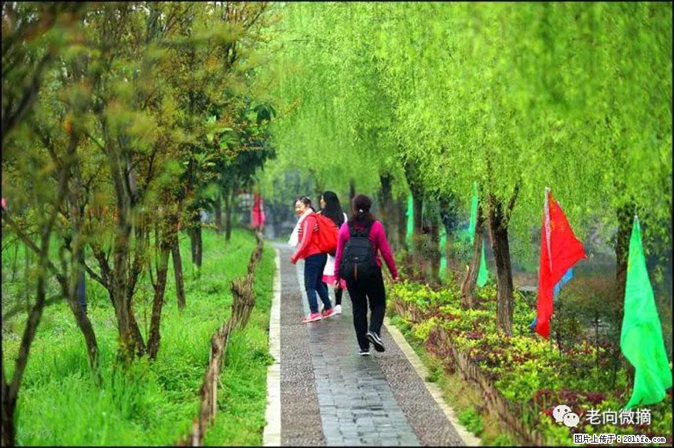 【春天，广西桂林灌阳县向您发出邀请！】江口老街又逢春 - 游山玩水 - 那曲生活社区 - 那曲28生活网 nq.28life.net