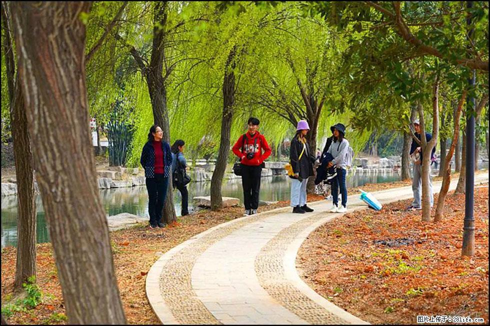 【春天，广西桂林灌阳县向您发出邀请！】江口老街又逢春 - 游山玩水 - 那曲生活社区 - 那曲28生活网 nq.28life.net