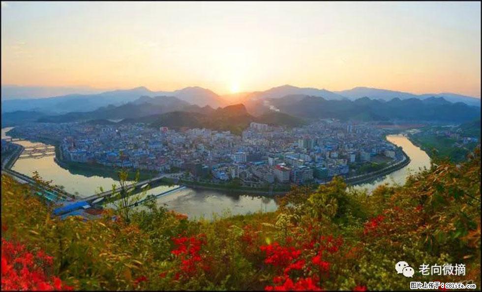 【春天，广西桂林灌阳县向您发出邀请！】登麒麟山，相约映山红 - 游山玩水 - 那曲生活社区 - 那曲28生活网 nq.28life.net