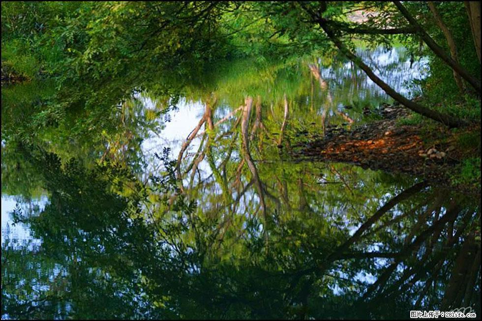 【春天，广西桂林灌阳县向您发出邀请！】熊家寨湿地公园 - 游山玩水 - 那曲生活社区 - 那曲28生活网 nq.28life.net