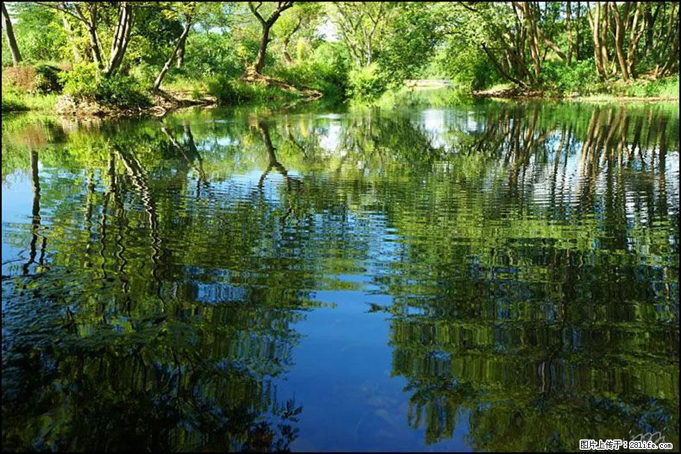 【春天，广西桂林灌阳县向您发出邀请！】熊家寨湿地公园 - 游山玩水 - 那曲生活社区 - 那曲28生活网 nq.28life.net