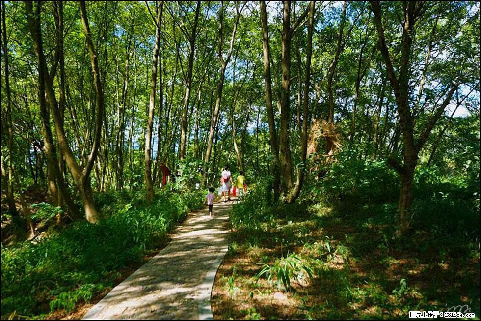【春天，广西桂林灌阳县向您发出邀请！】熊家寨湿地公园 - 游山玩水 - 那曲生活社区 - 那曲28生活网 nq.28life.net