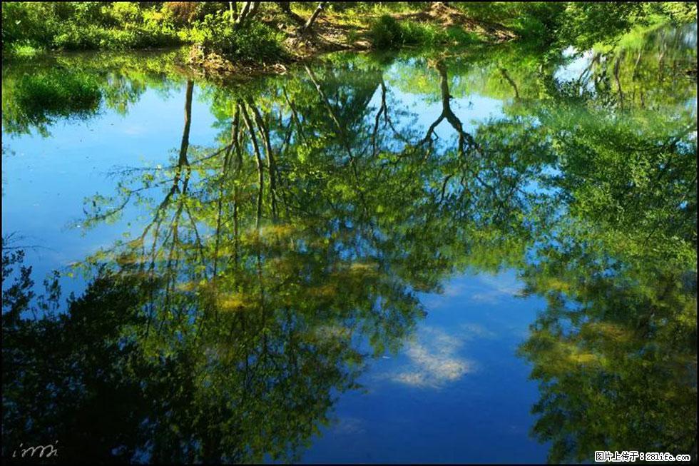 【春天，广西桂林灌阳县向您发出邀请！】熊家寨湿地公园 - 游山玩水 - 那曲生活社区 - 那曲28生活网 nq.28life.net