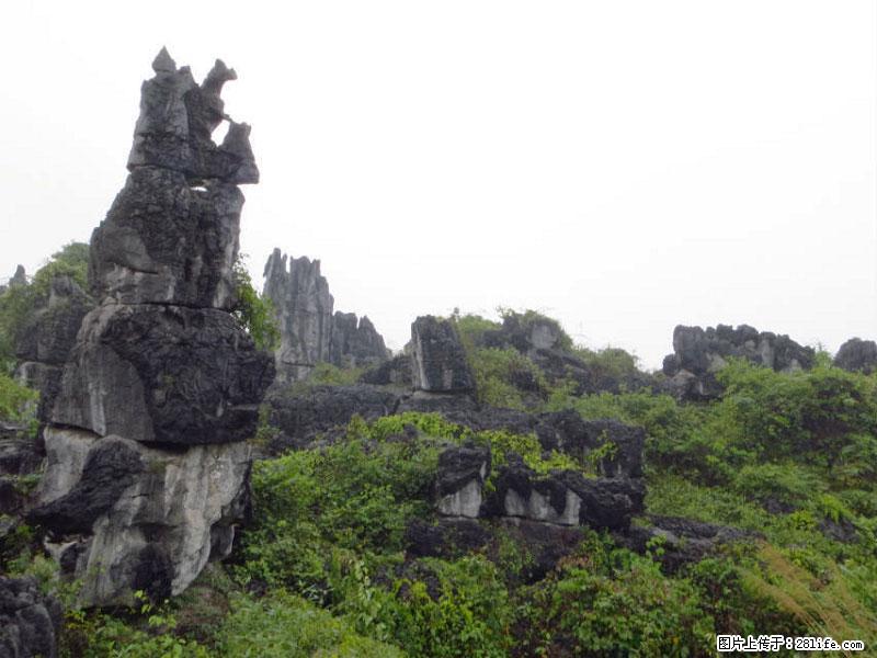 桂林旅游名城景点：灌阳文市石林 - 游山玩水 - 那曲生活社区 - 那曲28生活网 nq.28life.net
