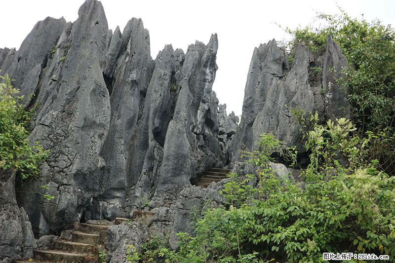 桂林旅游名城景点：灌阳文市石林 - 游山玩水 - 那曲生活社区 - 那曲28生活网 nq.28life.net