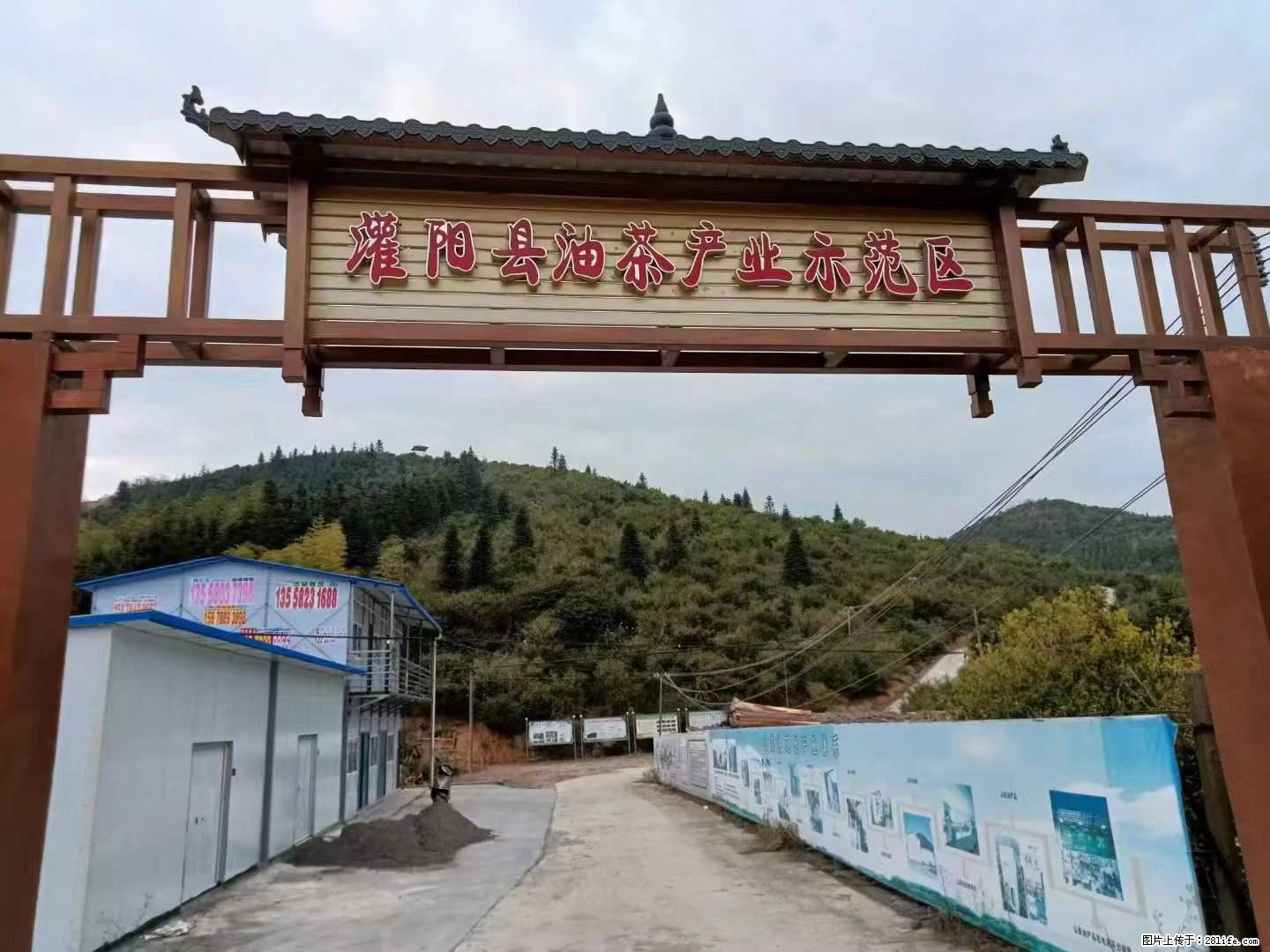 【灌阳县油茶产业示范区】一个有着充实的精神生活的人，对待身外之物自会有一种淡泊的态度 - 土特产 - 饮食特产 - 那曲分类信息 - 那曲28生活网 nq.28life.net