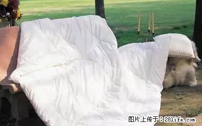 被子有异味？只要这样做，比晒太阳还强100倍！ - 家居生活 - 那曲生活社区 - 那曲28生活网 nq.28life.net