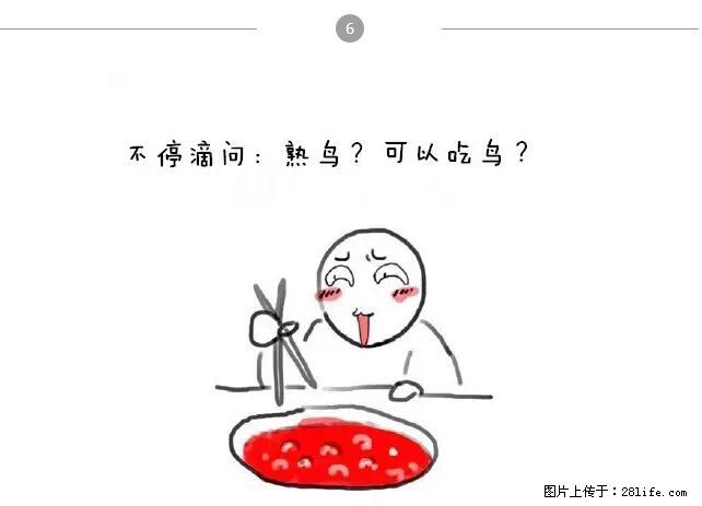 千万不要和这9种哈卵一起吃火锅! - 美食天地 - 那曲生活社区 - 那曲28生活网 nq.28life.net