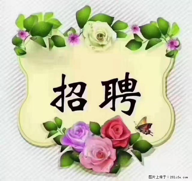 【招聘】住家育儿嫂，上户日期：4月4日，工作地址：上海 黄浦区 - 职场交流 - 那曲生活社区 - 那曲28生活网 nq.28life.net
