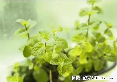 晕车、脚气、牙齿变黄、皮肤粗糙？学会这些三分钟搞定！ - 那曲生活资讯 - 那曲28生活网 nq.28life.net