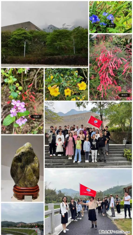 “粤灌文化 美好生活”油茶文化主题活动在广东深圳成功举办 - 那曲生活资讯 - 那曲28生活网 nq.28life.net