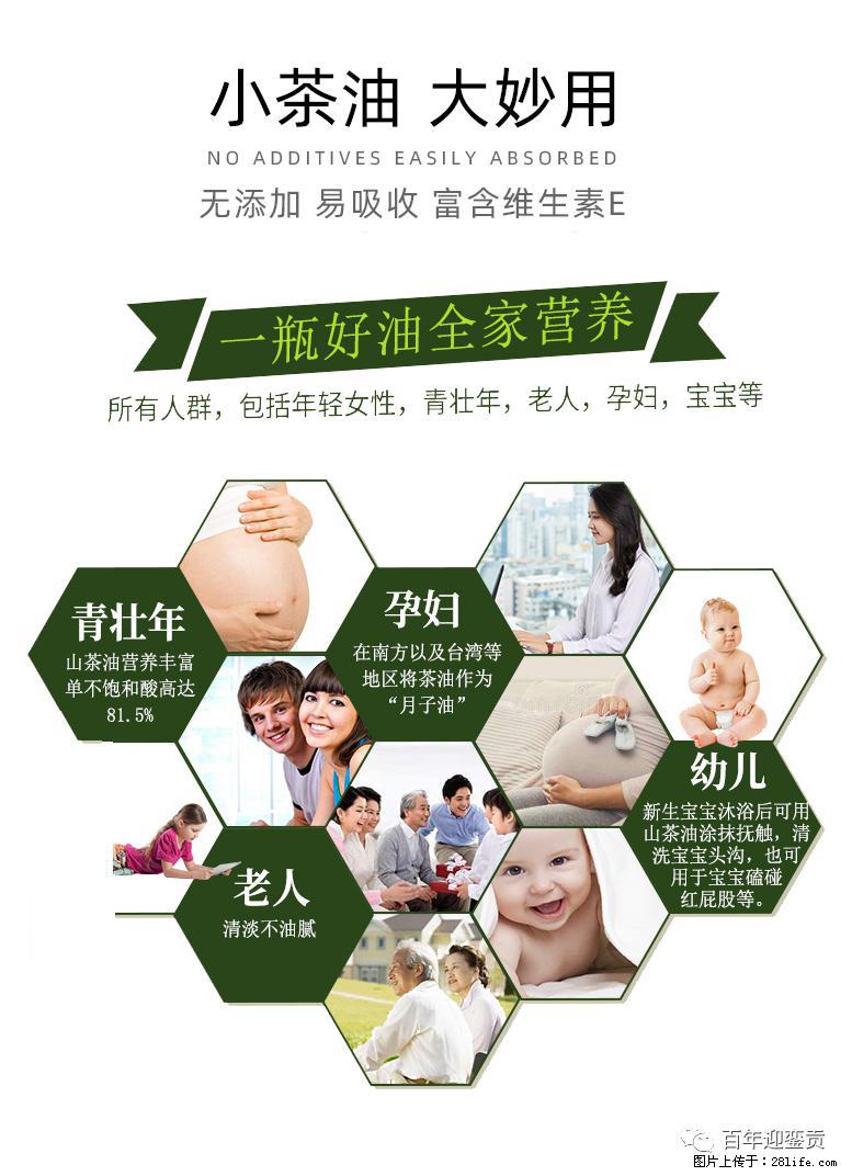 世界没有真相，只有认知，最好的食用油是中国的山茶油！ - 那曲生活资讯 - 那曲28生活网 nq.28life.net