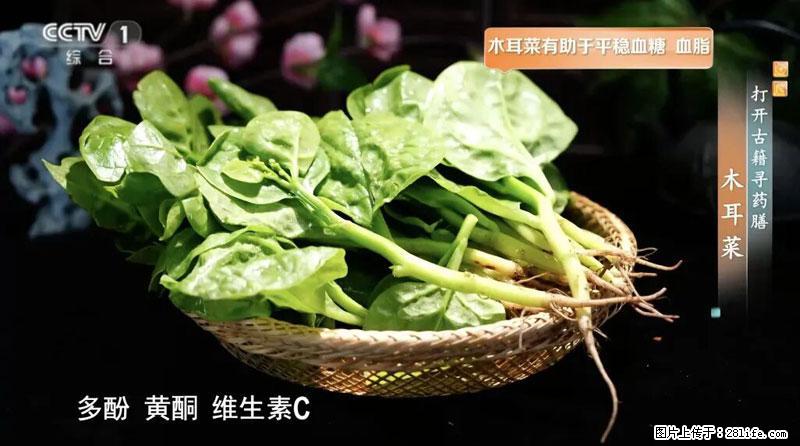 比牛奶补钙还厉害！凉血解毒、稳血糖...这菜冬天必吃，很多人却当草 - 那曲生活资讯 - 那曲28生活网 nq.28life.net